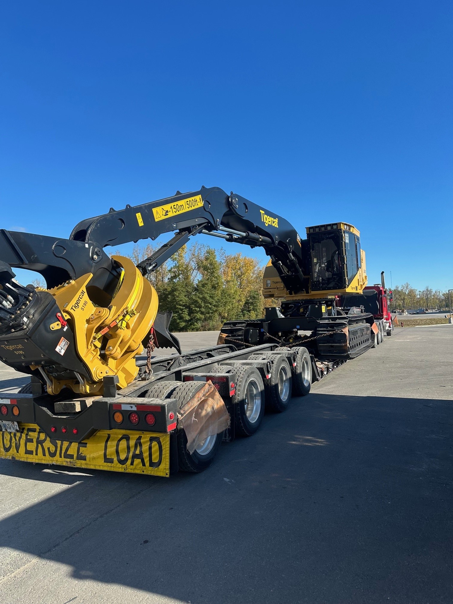 2024 10 15 tigercat3